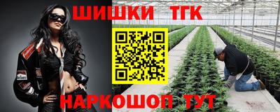 мдпв Ставрополь