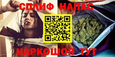 мдпв Ставрополь