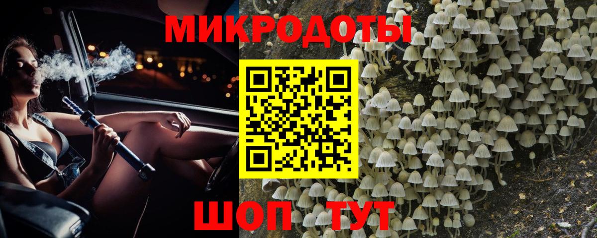 Псилоцибиновые грибы Psilocybine cubensis  Вход с VPN  где купить наркоту  Петрозаводск 
